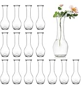 ZOOFOX Set of 16 Glass Bud Vase, Small Vases for Single Rose, Clear Glass Flower Bottle for Rusti...