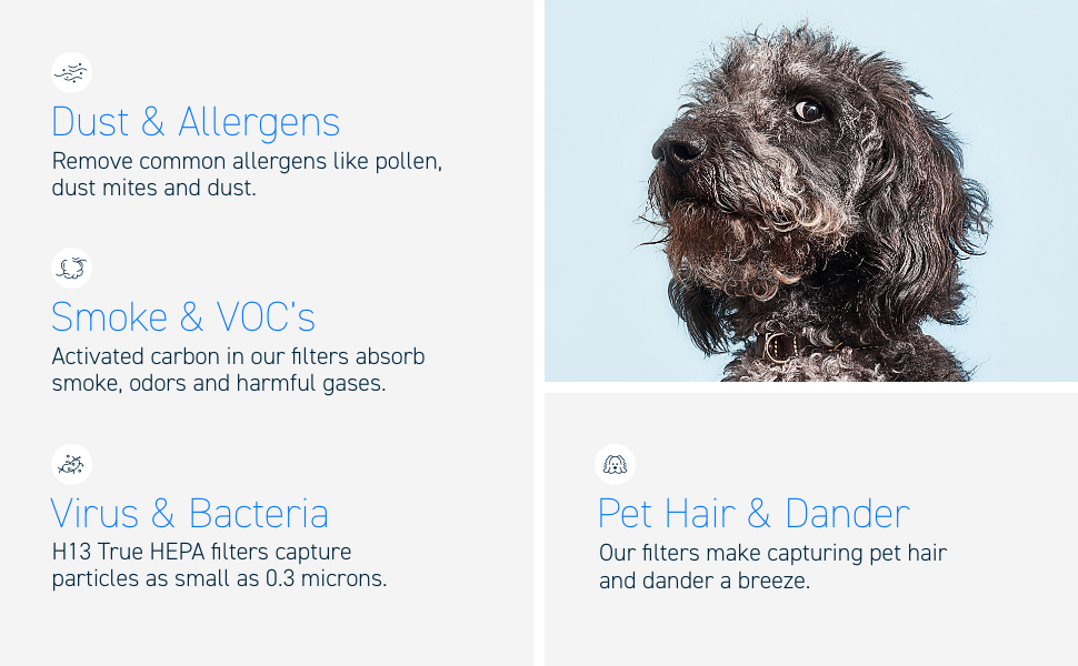 dust allergens pet hair and dander filter
