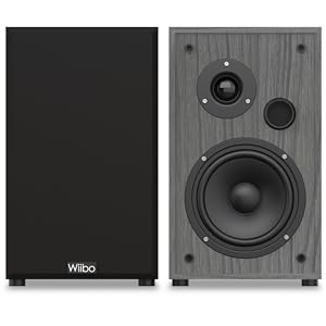 altavoz sound bluetooth grande potente autoamplificados portatil usb monitor estudio estantería