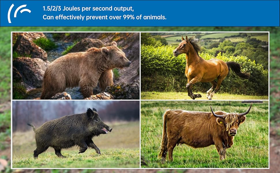 For areas with large animals, the output voltage can be adjusted to 12,000V.