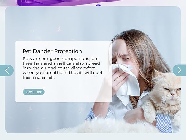 air purifier