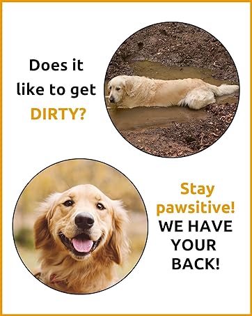 pet bath dog bath tubs for large dogs pet bathing tub large dog grooming table dog grooming tables