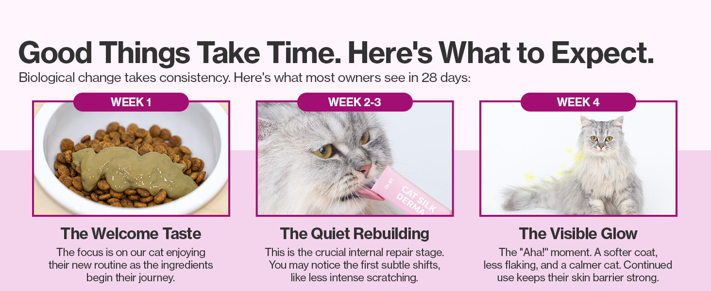 cat probiotics probiotics for cats immune support cats lickable cat treat shiny coat cats