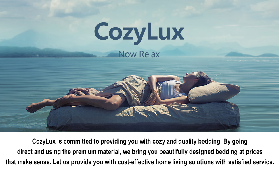 CozyLux Standard/Queen Pillowcase Set of 2 Luxury 1800