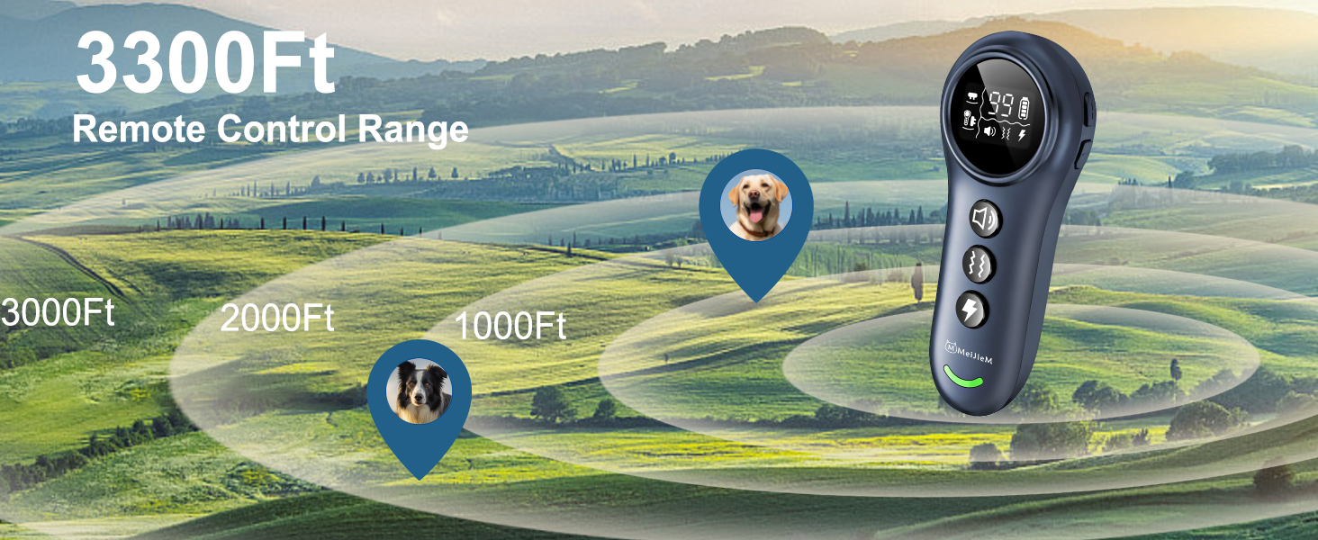 dog training collar with remote