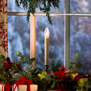 candle✣candle 71+pxQWnZYL._UF894,1000_QL80_.jpg