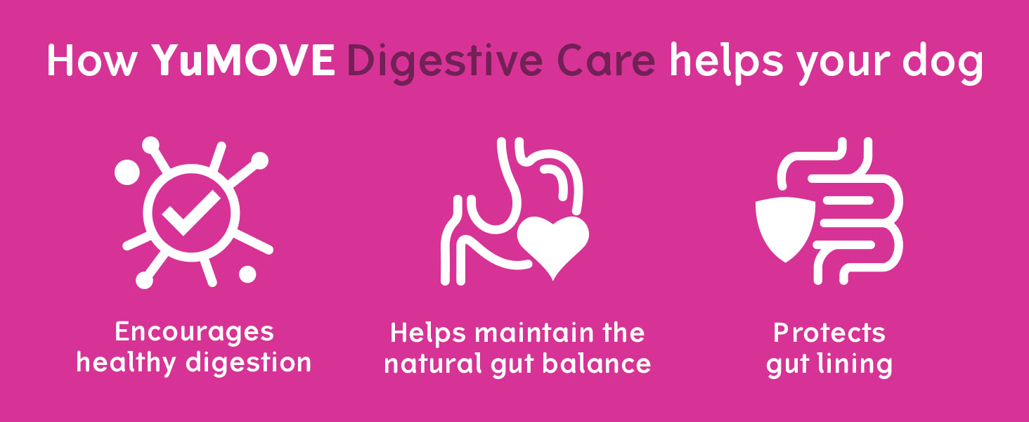 YuMOVE Digestive Care PLUS Previously YuDIGEST PLUS Veterinary