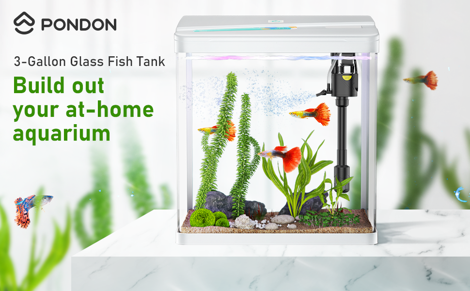 PONDON Betta Fish Tank, 3 Gallon Glass Aquarium, 3 in 1