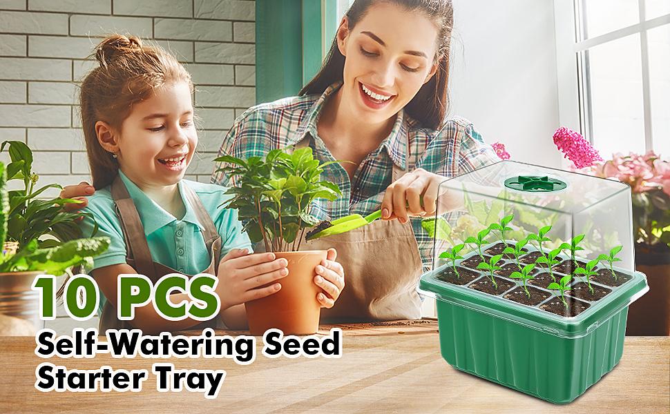 seed starter tray