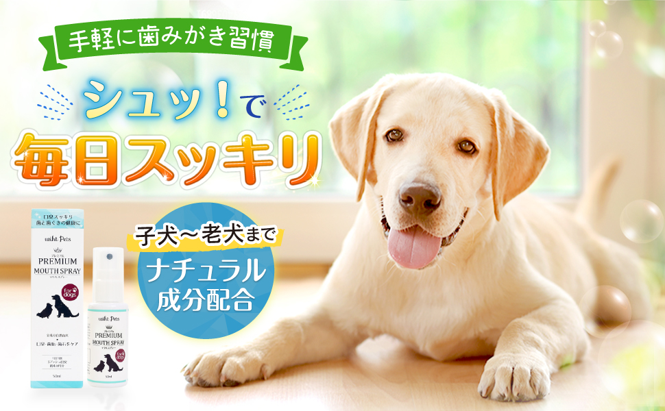 Amazon Co Jp 高光製薬 犬 ペット 歯みがき スプレー タイプ デンタルケア ミスト 歯石 自然由来 100 日本製 50ml ペット用品