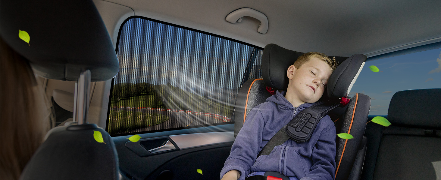 F150 window shades
