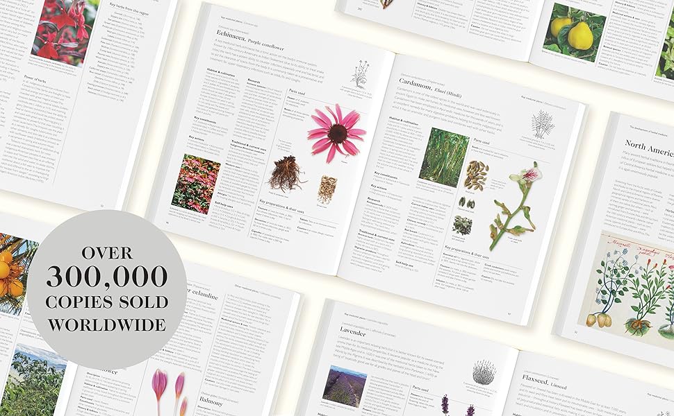 Encyclopedia of Herbal Medicine New Edition 560 Herbs and Remedies for