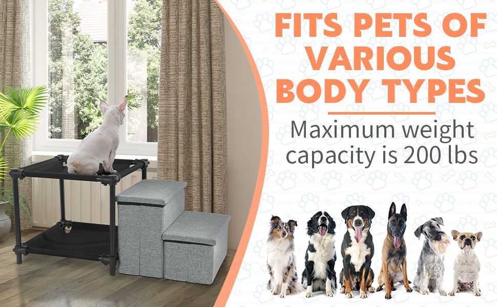 HOMBYS Multi-Level Pet Bunk Bed with Window View & Storage for Dogs and Cats
| HOMBYS Pet Stairs & Perch for Multipl 8dfcebfc 2672 48fa 99ea Da3c2fcae9c6. CR0,0,970,600 PT0 SX970 V1