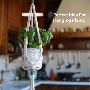 hanging grow lamp 
