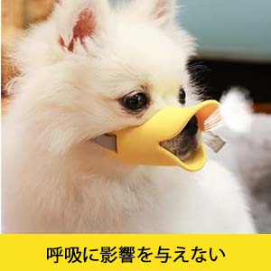 フェルール