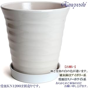 Amazon.co.jp: 鉢 三河焼 KANEYOSHI 【日本製/安心の国産品質
