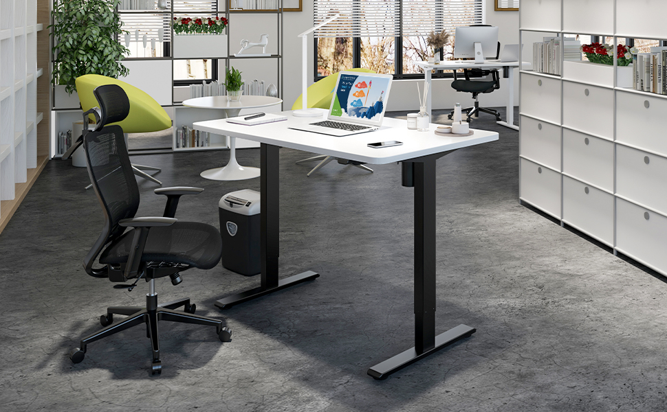 SANODESK Electric Standing Desk 48 x 30 Inches, Height