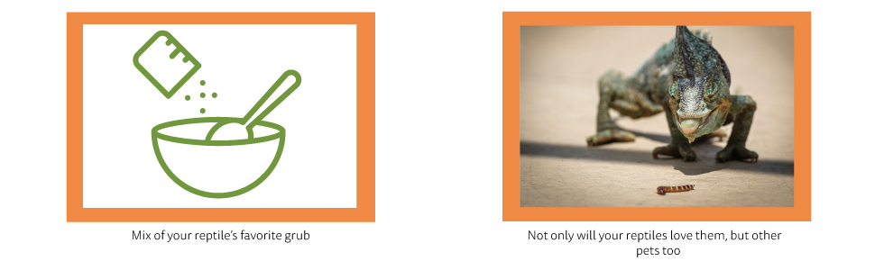 benefits of insect mix