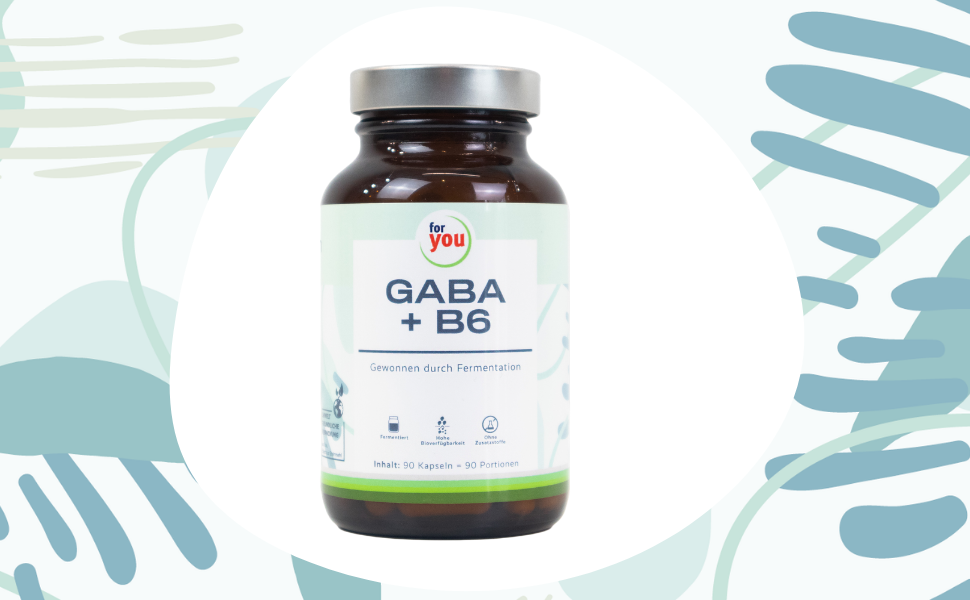 GABA + B6 Hochdosiertes Gaba aus Fermentation mit dem Lactobacillus