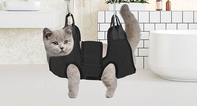 Large manufacture image 5