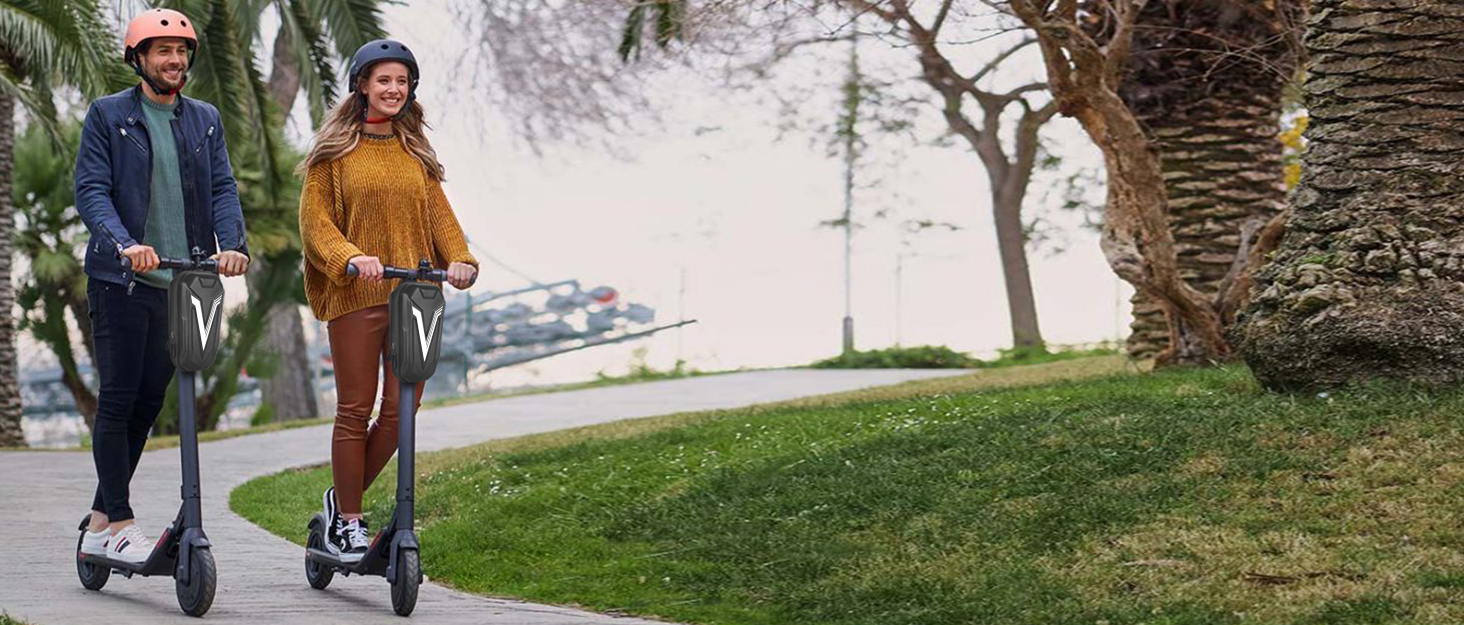 electric scooter bag