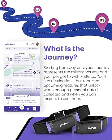 Smart Collar 2.0 by PetPace | AI-Powered Dog Health Monitor & GPS Tracker | Tracks