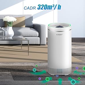 Air Purifier