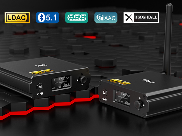 DS220 Bluetooth receiver for home stereo