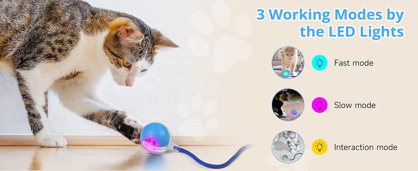 cat toy ball cat toys for bored indoor stimulating cat toys hide and seek cat toy electric cat toy