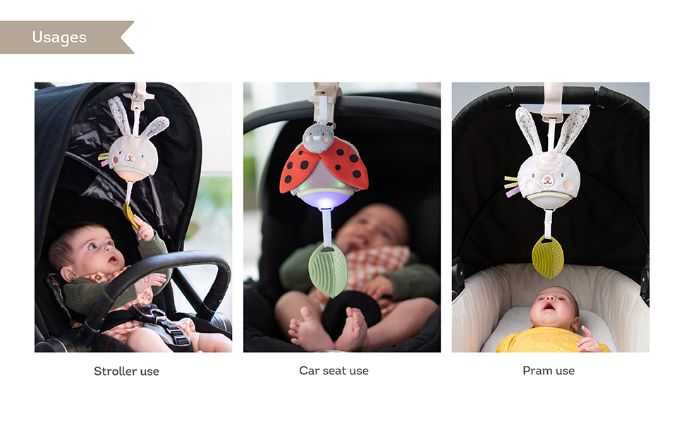 Taf Toys Music & Light Ladybug Take Along Toy, Portable