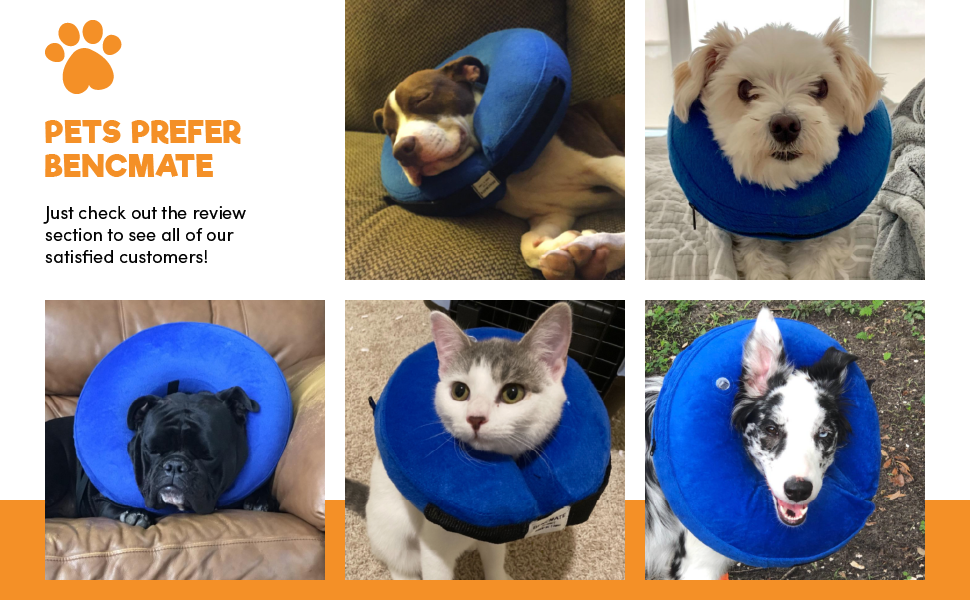 BENCMATE Protective Inflatable Collar for Dogs and Cats Soft Pet