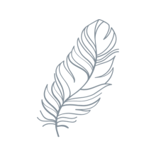 LIBRASANA Icon leicht