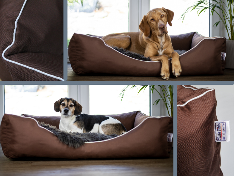 hundebett hundekorb hundenest hundematte hundekissen hundesofa