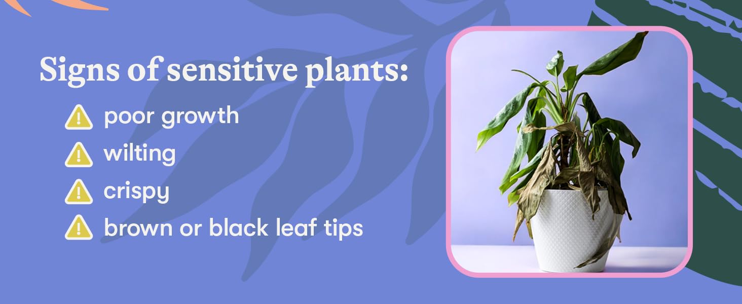 Signs of sensitive plants
