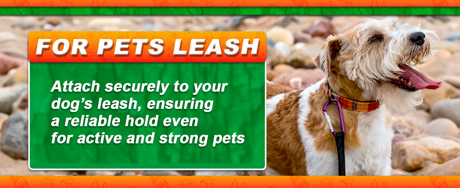 caribiners d-ring mosqueton carbiners caribener carabiners bulk