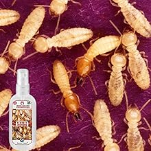 Small manufacture image 8