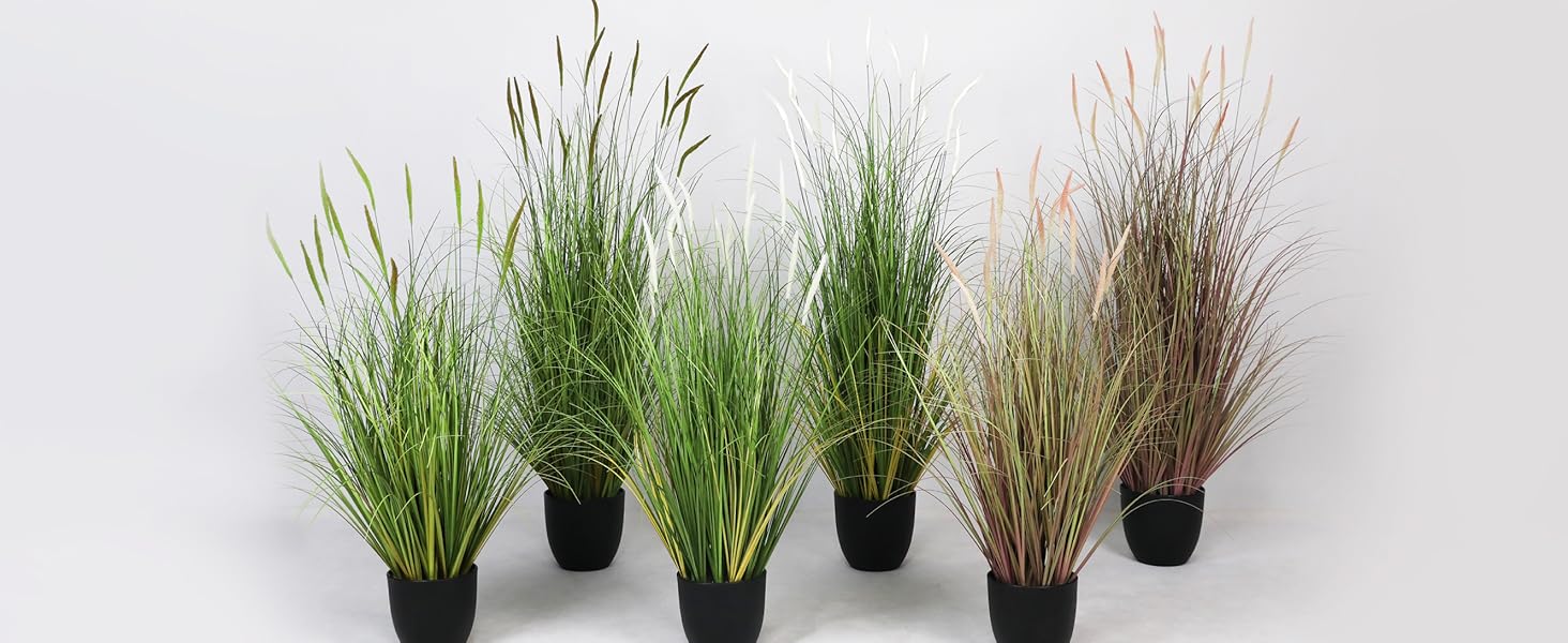 Outdoor Decoration