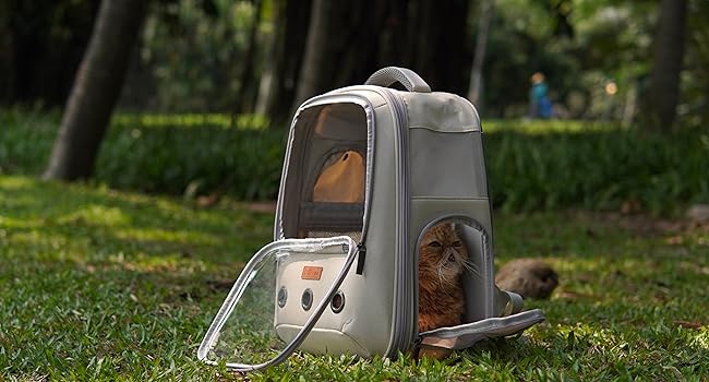 cat carrier backpack