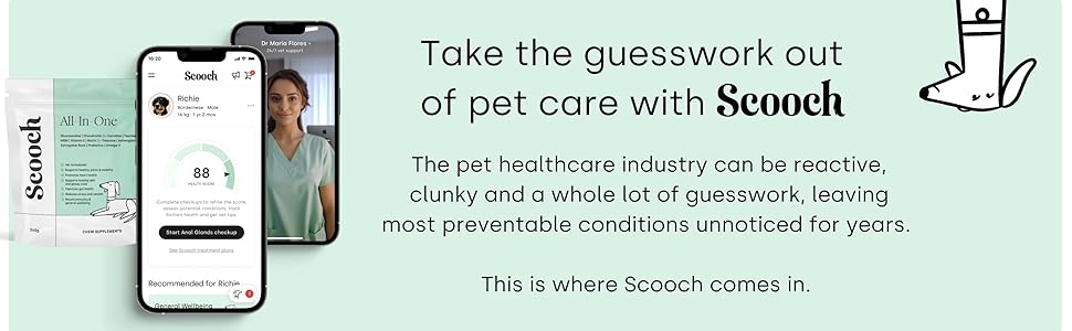 pet, dog, cat, supplement
