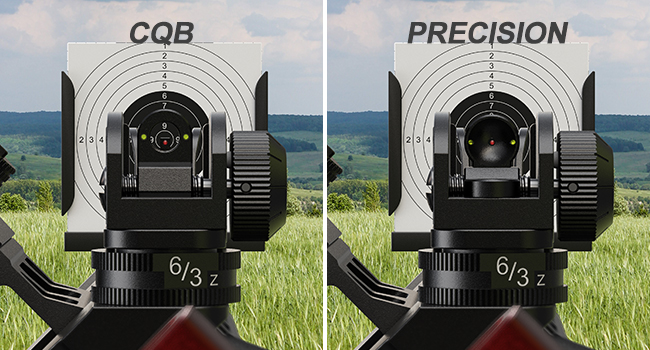 iron sights