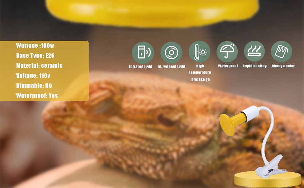 Reptile Heat lamp