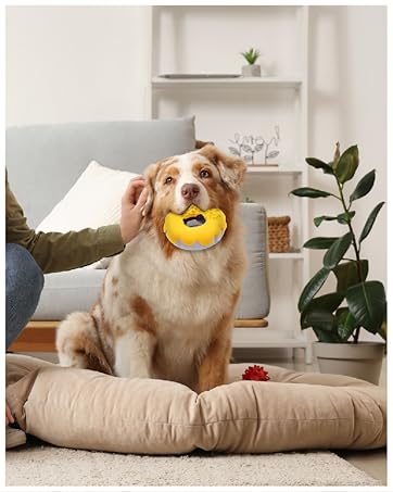 Dod Bed, Dog Toys
