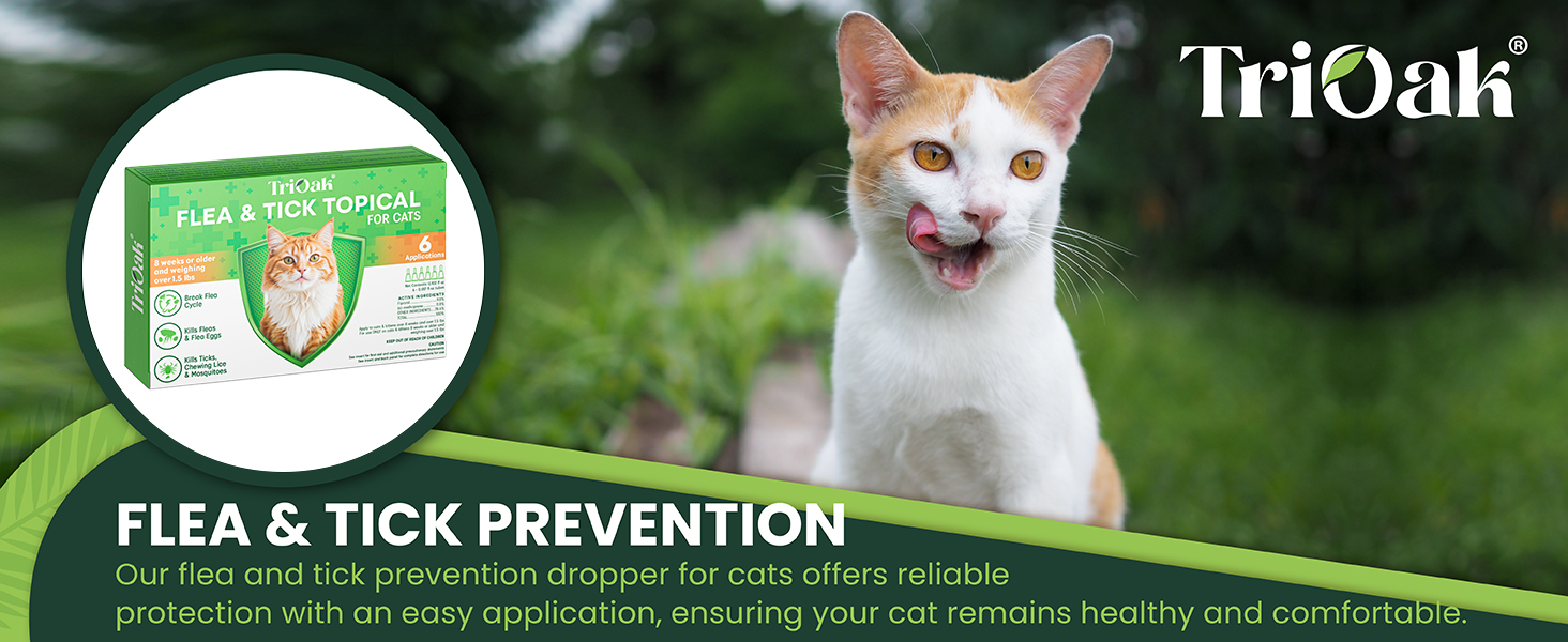 cat flea treatment