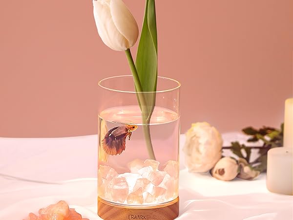 Amazon | ERAARKミニ水槽 アクアリウム 小型メダカ水槽セット