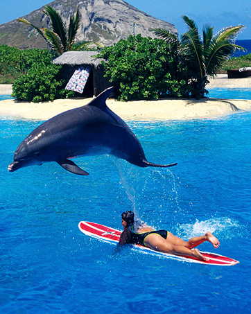  Diving Phone Case, Waterproof Phone Case,