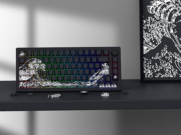 Amazon.com: XVX Shine Through Keycaps - Double Shot PBT