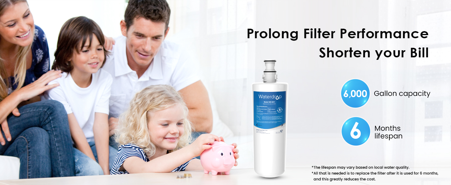 Waterdrop Water Filter Replacement for InSinkErator®, Compatible with InSinkErator® Hot Water