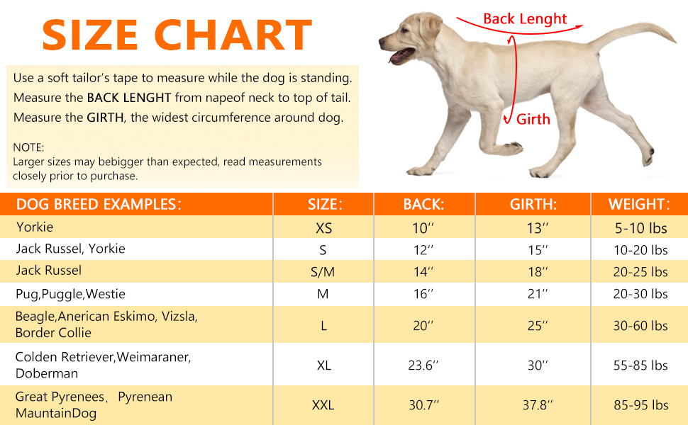 dog rain jacket small dogs raincoat puppy raincoat dog rain jacket rainjacket raincoats rainy coats