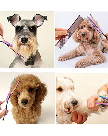 dog grooming scissors