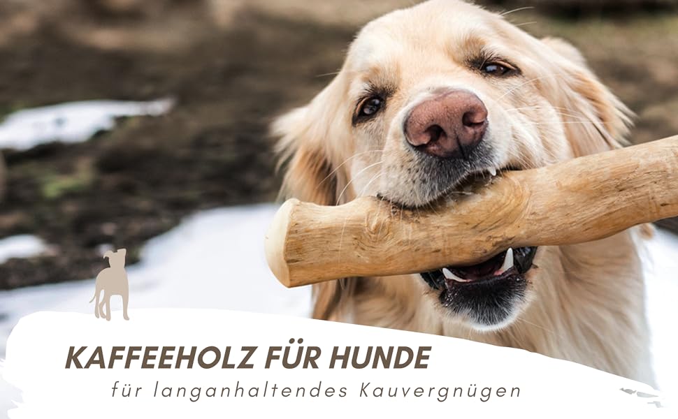 SUPRAVIT Natural Chew Bone Made of Coffee Wood for Dogs S More Than A Wooden Stick Exciting